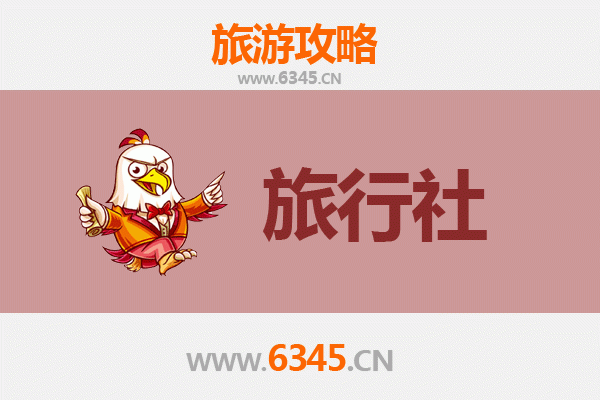 绥化青冈旅游攻略：本地旅行社推荐与深度游玩指南