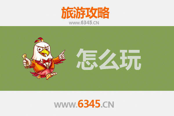 节假日绥化青冈深度游攻略：探秘黑土文化与自然奇景